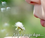 save-darina.org